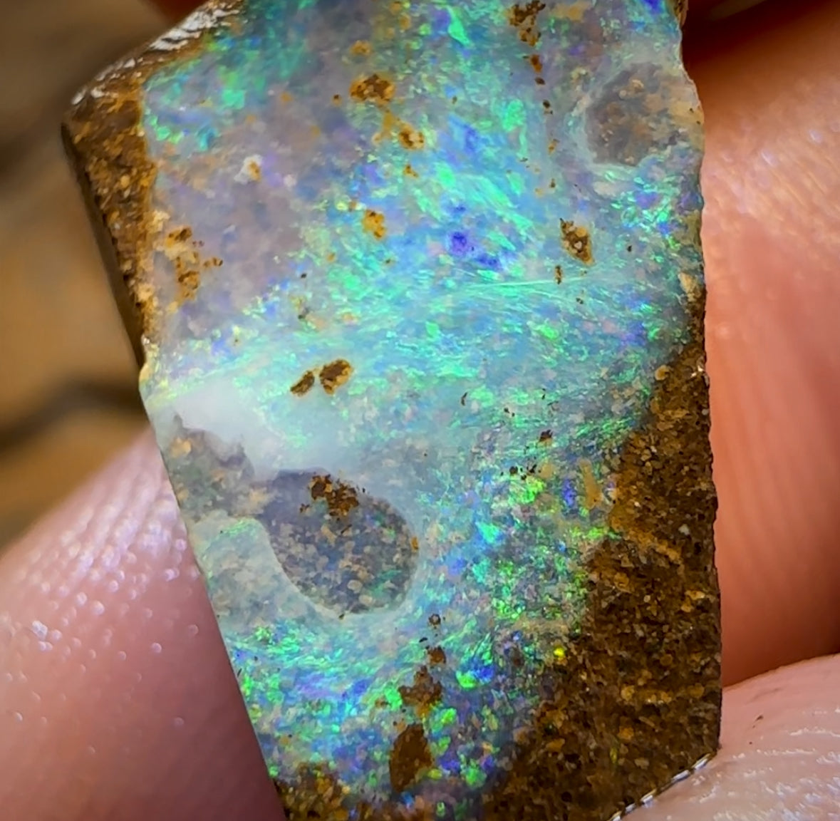 14.1cts - Queensland Boulder Seam Opal Rub