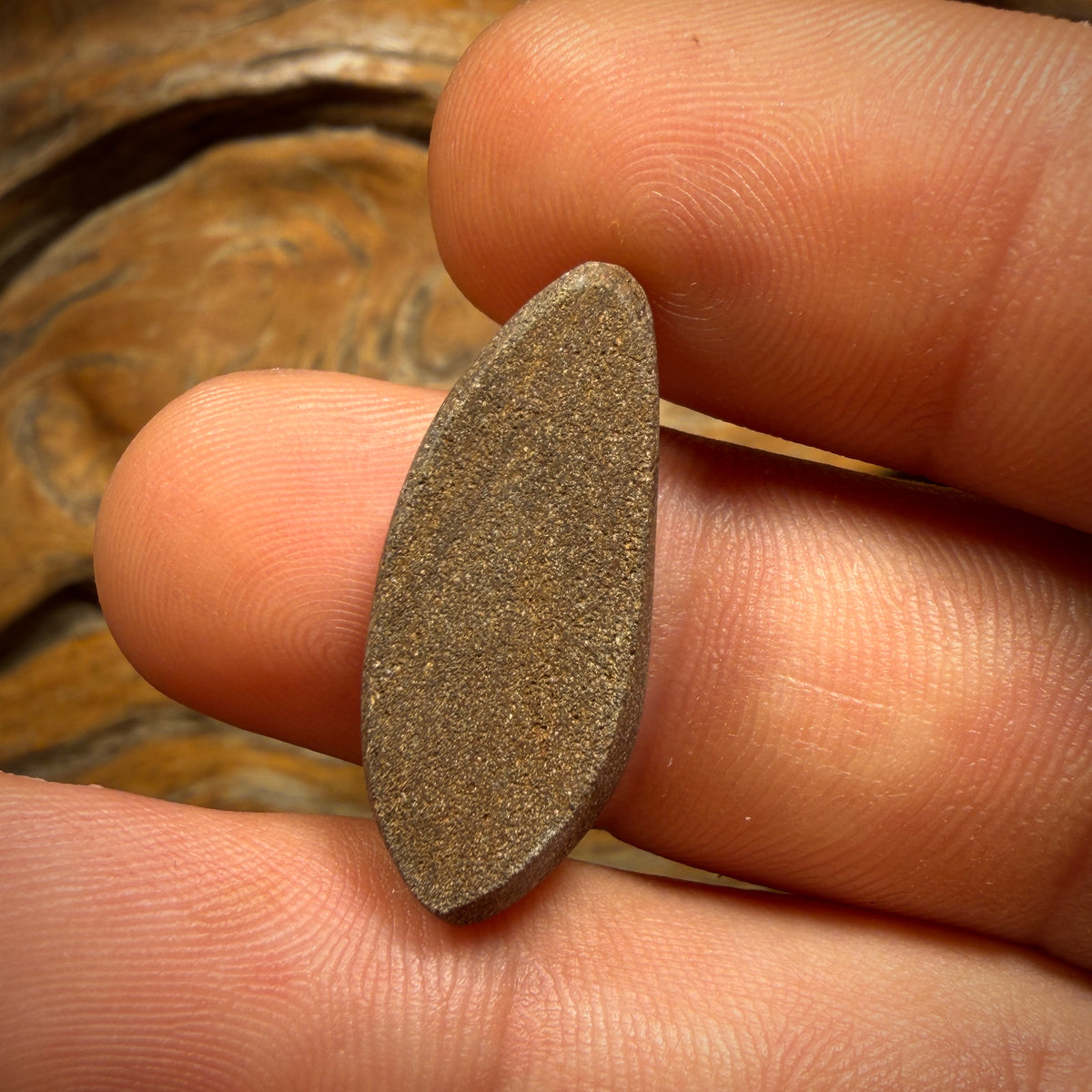 12.2cts - Top Reef Pattern Big Queensland Boulder Seam Opal