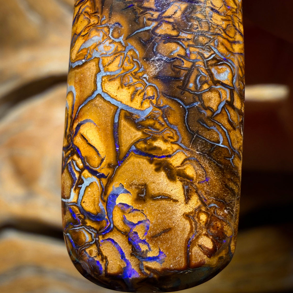 Wildcard! 32 x 15mm - Drilled Tribal Queensland Boulder Opal Necklace