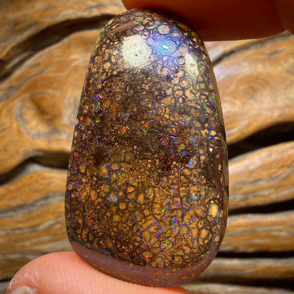 72.7cts - Tan Tribal Yowah Nut Opal. Red Multicolour