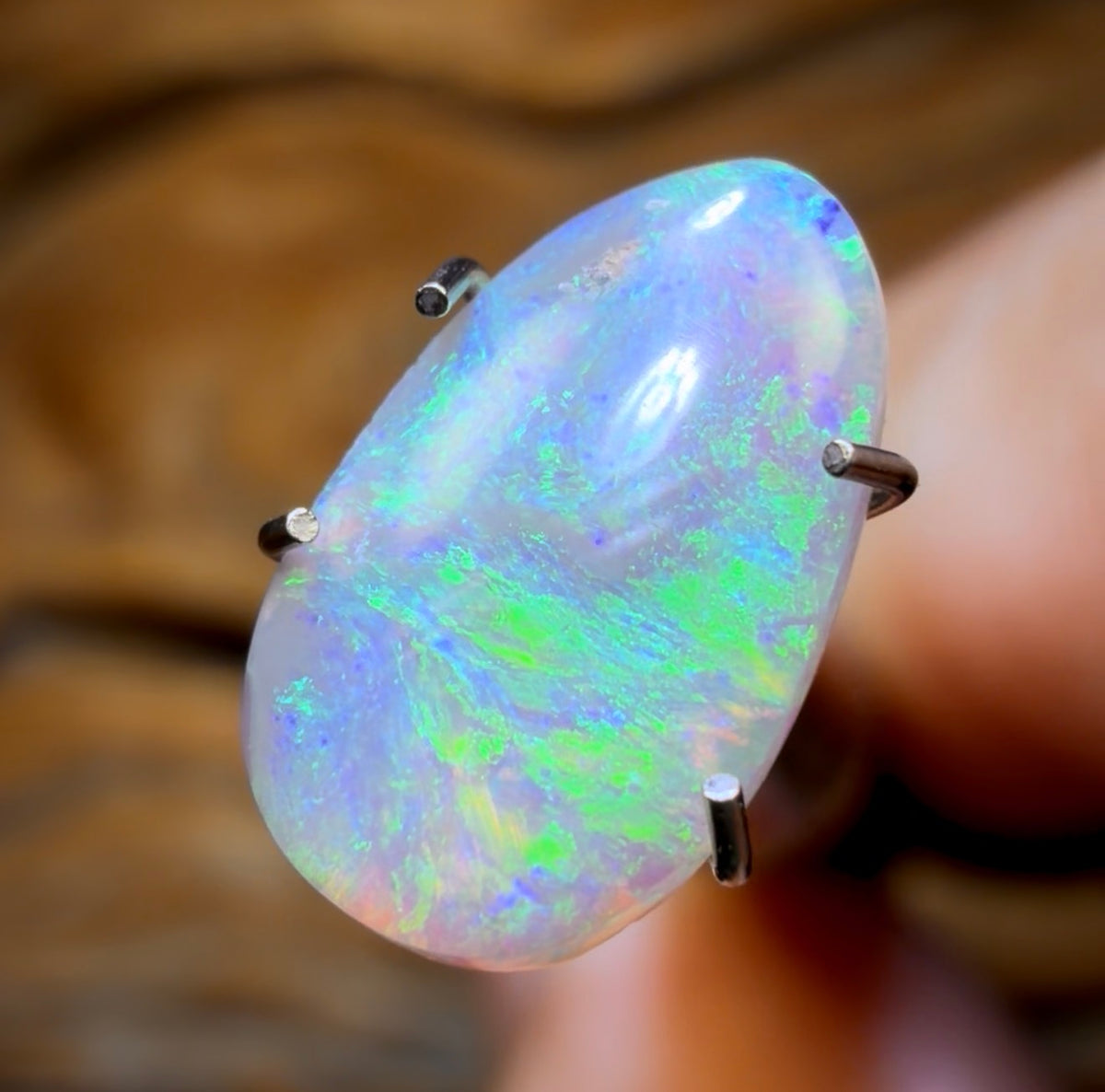 Auction Fall-Through = Your Gain! 🔥 Now More Than 50% Off RRP 🚨 1.2cts - Lightning Ridge Semi Crystal Opal
