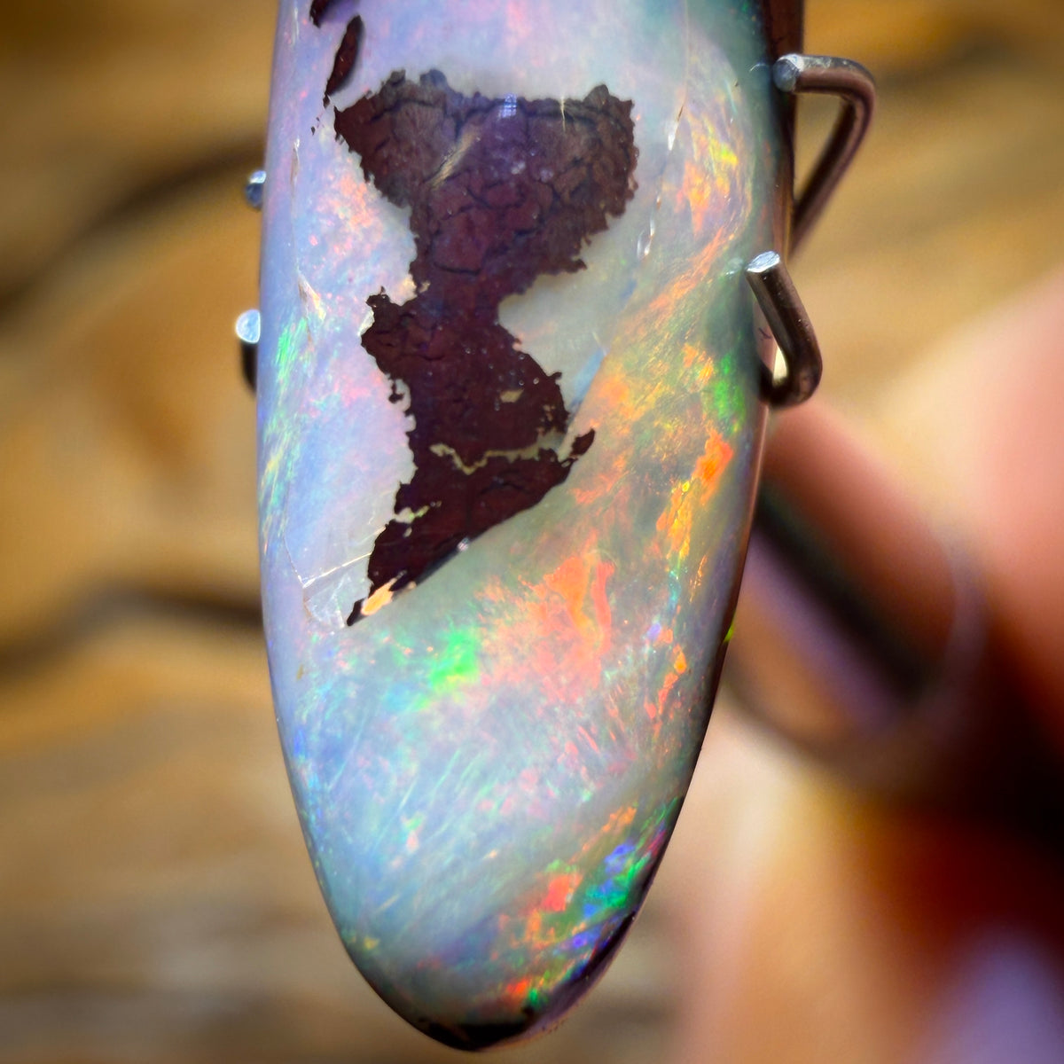 8.2cts - Tribal Kernel Queensland Boulder Crystal Center Opal from Koroit