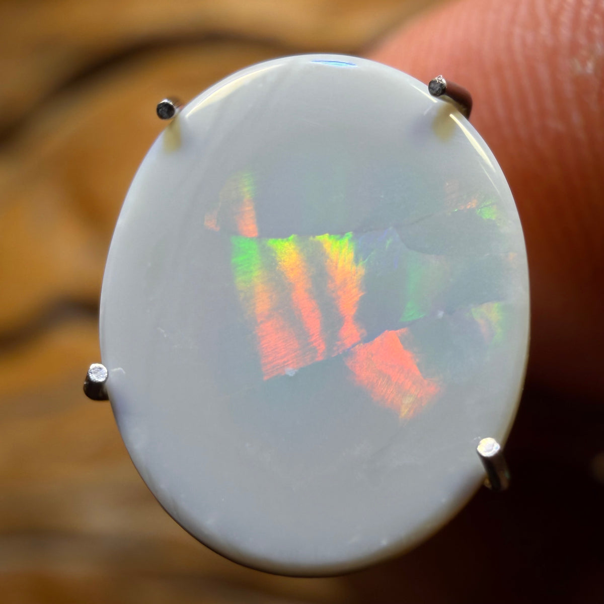 1.7cts - Dark Opal from Lightning Ridge Rolling Harlequin Type