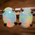 9k Gold - Claw Set South Australian Opal Earrings - Opal Whisperers