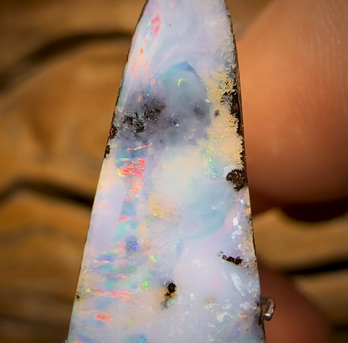 11.4cts - Large Queensland Boulder Seam Opal HALF PRICE