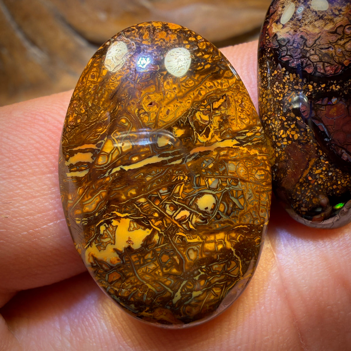 66.3cts - 3x Australian Tribal Boulder Opal’s. Wholesale Parcel