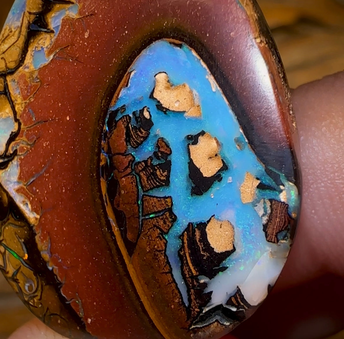 45.4cts - Yowah Nut Kernel Australian Opal Picture Stone - Opal Whisperers