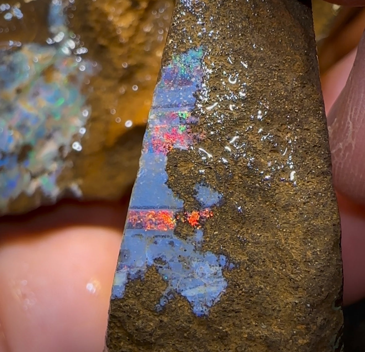 1107cts - 3x Queensland Boulder Opal Rough Parcel from Winton