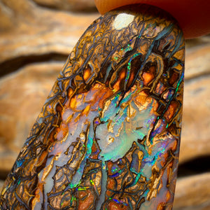 57.3cts - Top Tribal Artistic Queensland Boulder Opal from Yowah