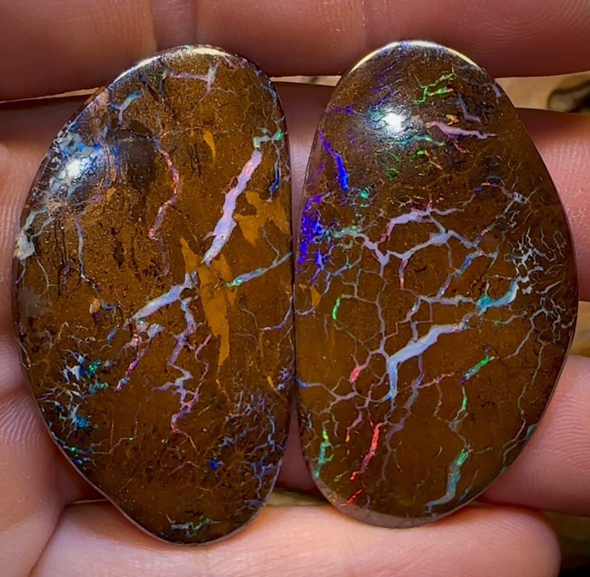 106.6cts - Magnificent Bubble Band Opal Pair With Red Muti Colours