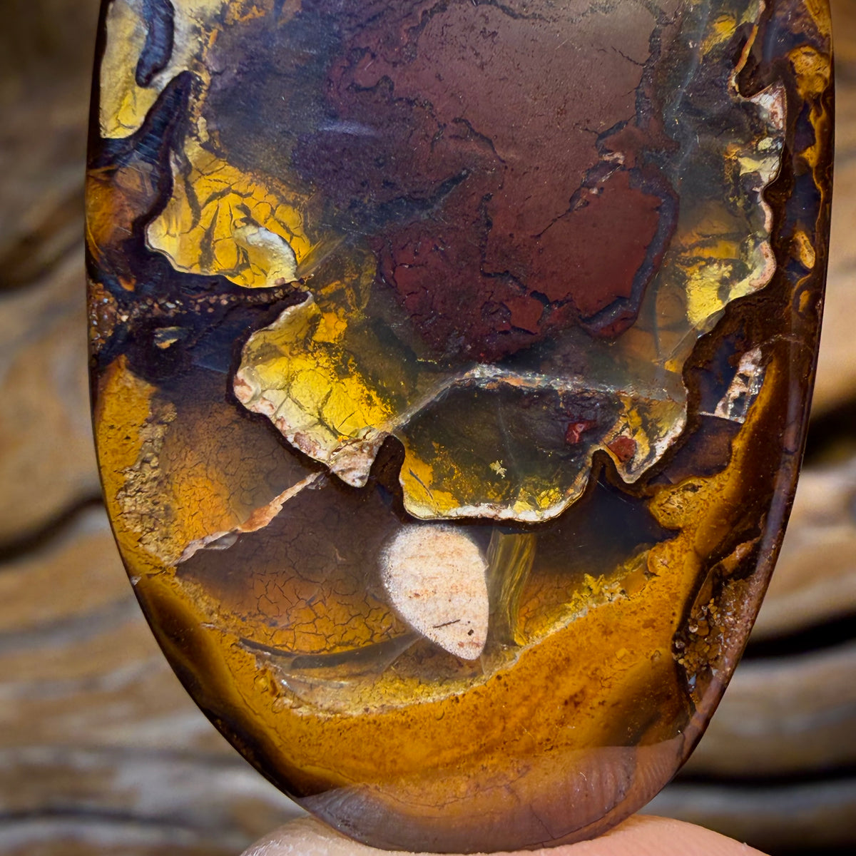 🔨 AUCTION 🔨 98.1cts - Tribal Yowah Nut Kernel Opal. Australian Opal