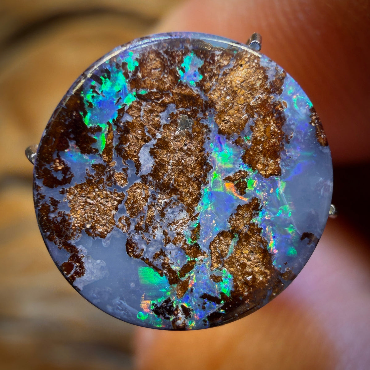 TGIF 4.3cts - Queensland Boulder Opal from Yowah