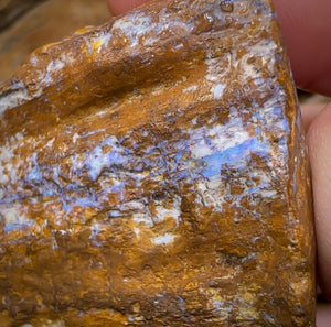 611.2cts - “Opal Dagger”Australian Boulder Wood Fossil Opal Rough Piece. Carvers Delight