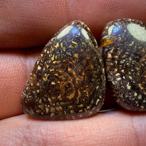 48,3cts - Stammes-Queensland-Boulderopal-Paar