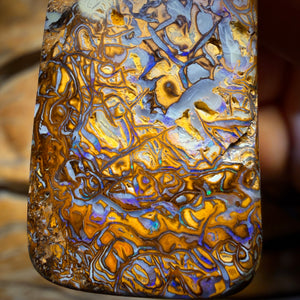 WILDCARD! 32 x 19mm - Drilled Tribal Queensland Boulder Opal Necklace