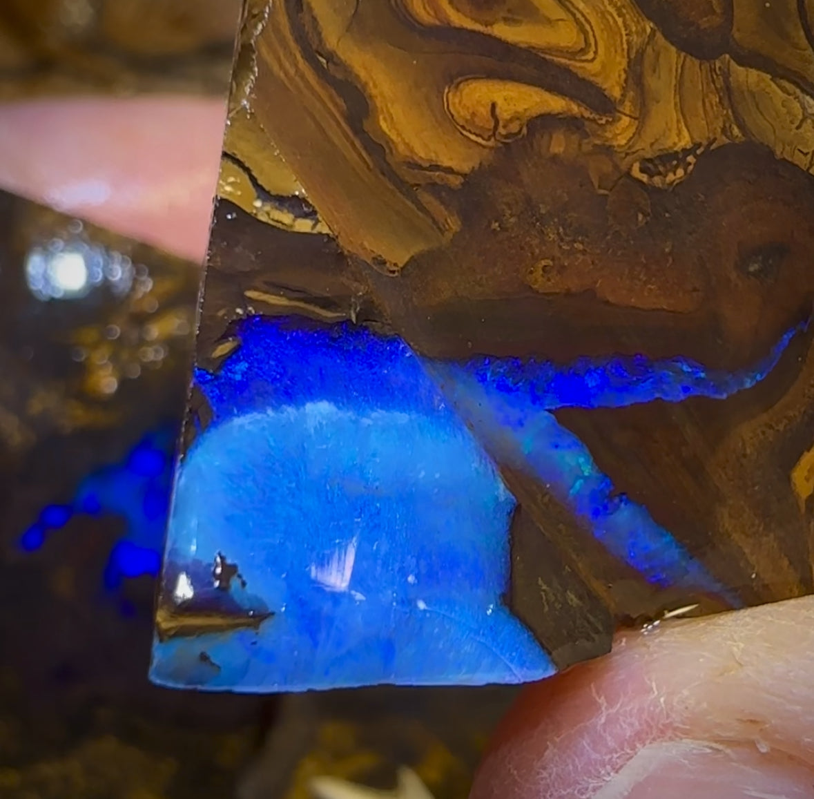 525cts - HUGE Blue Slab Bargain 3x Queensland Boulder Rough Opal Parcel. Yowah Nut