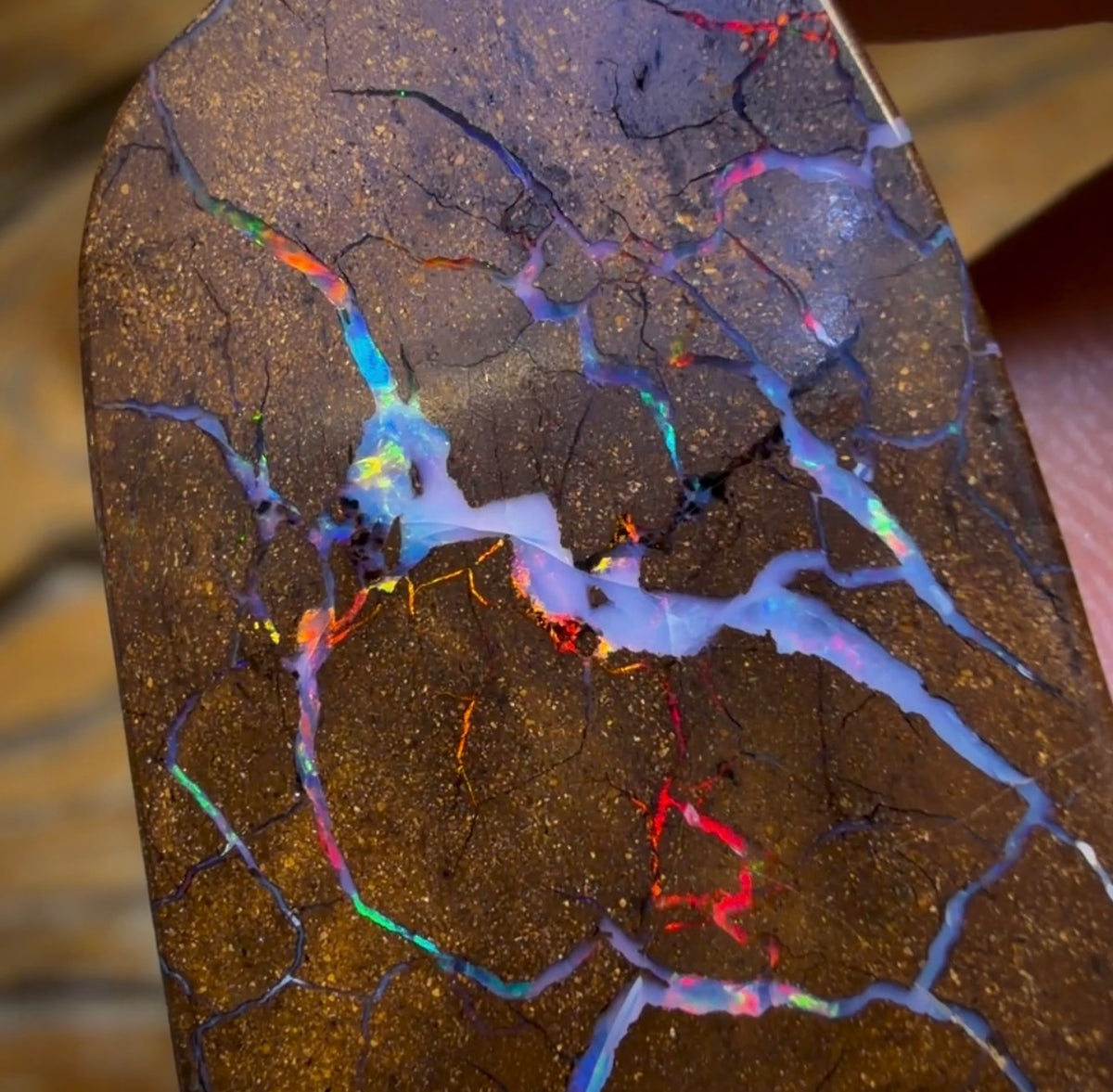 35.6cts - Queensland Boulder Seam Opal. Red Multicolours!