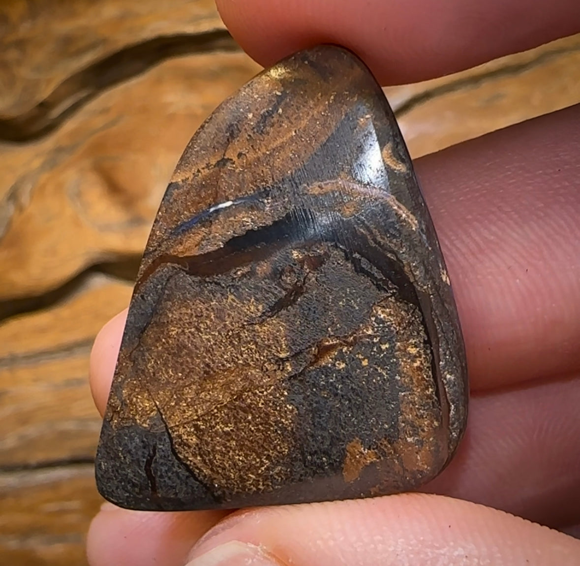 44.4cts - Queensland Boulder Black Opal from Winton - Opal Whisperers