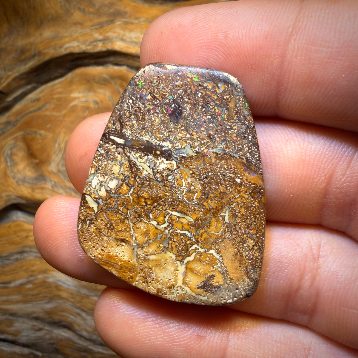 55.4cts - 50% OFF Tight Tribal Yowah Nut Opal. Australian Opal