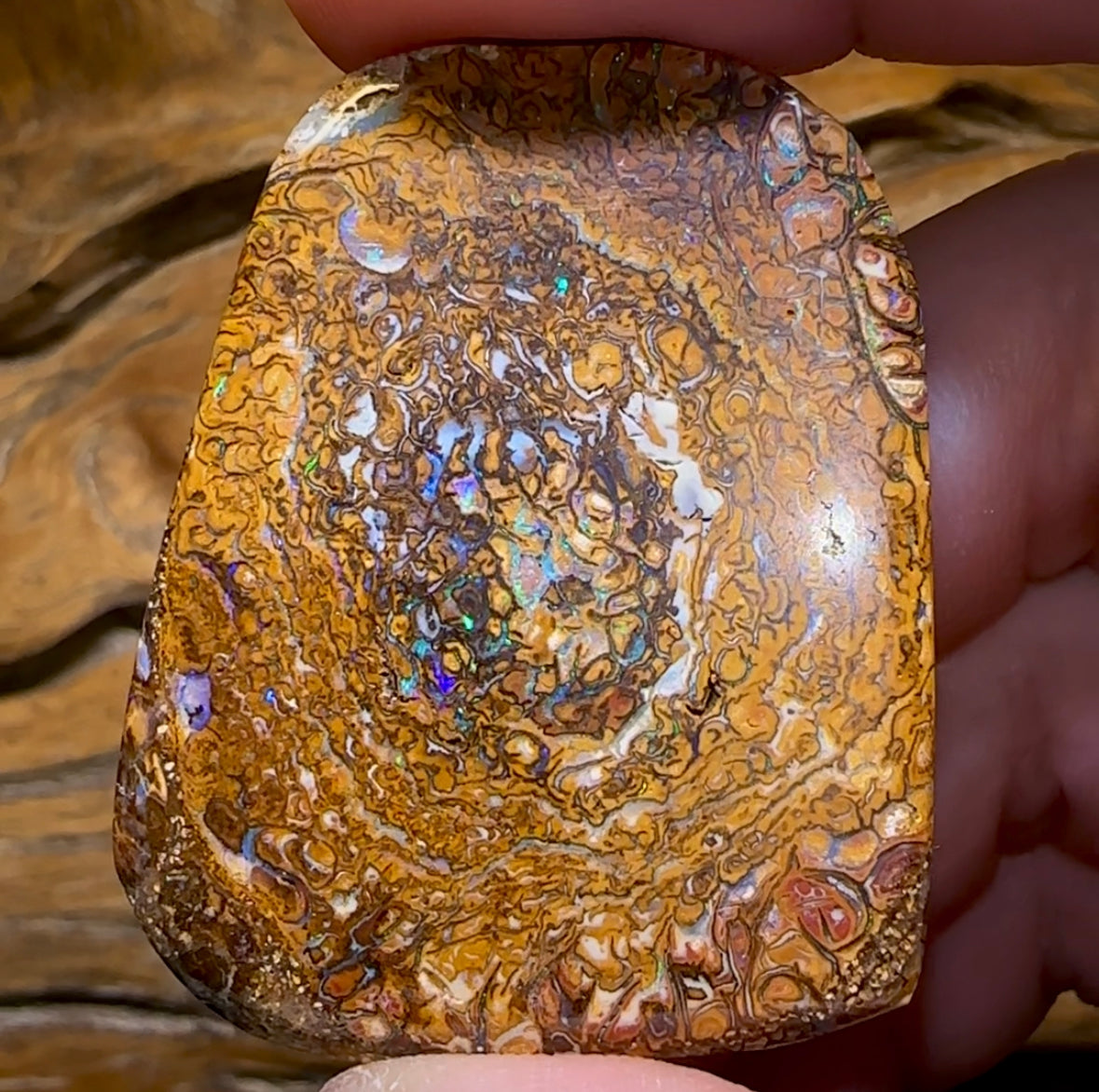 108.3cts - Huge Queensland Boulder Opal. Yowah Tribal Specimen / Oversized Jewellery Bargain - Opal Whisperers
