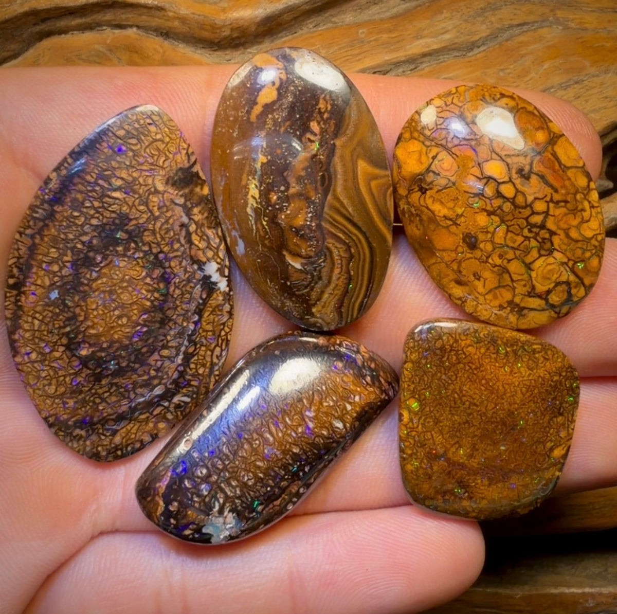 🔒 174.7cts - 5x Australian Tribal Boulder Opal’s. Wholesale Dealers Parcel