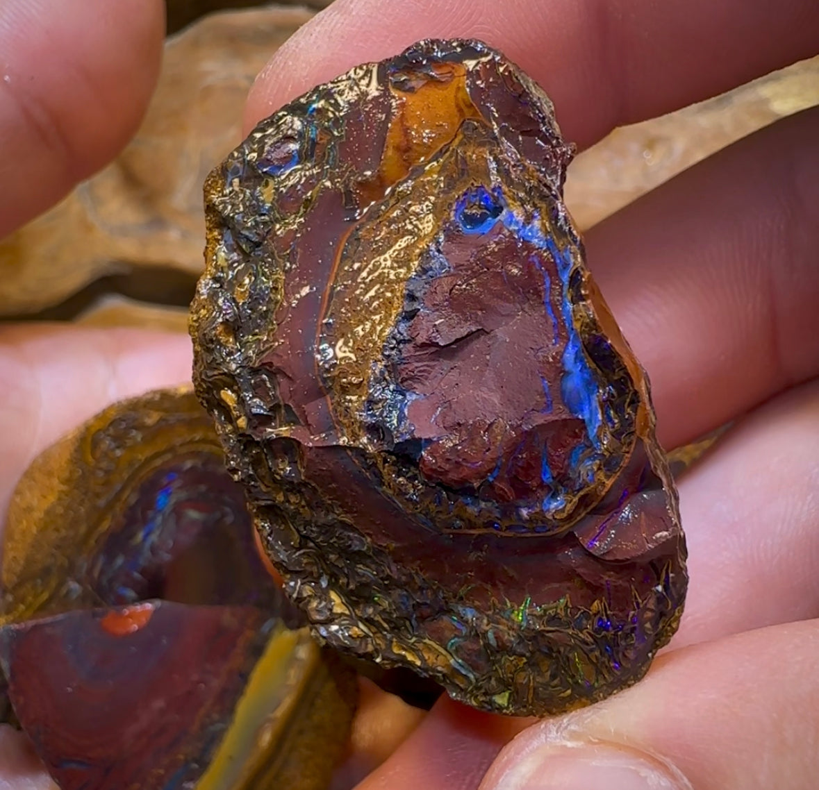 193.1g - 7x Koroit Nut Rough Opal Parcel - Opal Whisperers