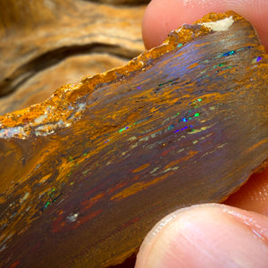 279.9cts - TOP Vegetation Fossil Replacement Boulder Opal Specimen Rub