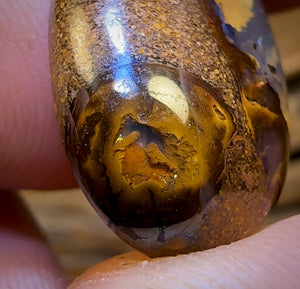 🔨 AUCTION 🔨 No Reserve 20.3cts - Yowah Nut Kernel Opal. Australian Boulder Opal