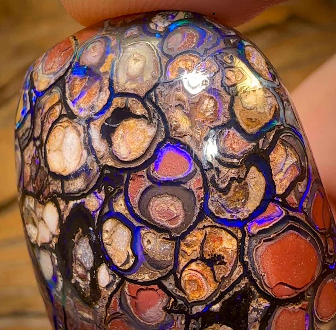 396.1cts - ISAACS CUT!! Large Top Tribal Queensland Boulder Opal Polished Specimen