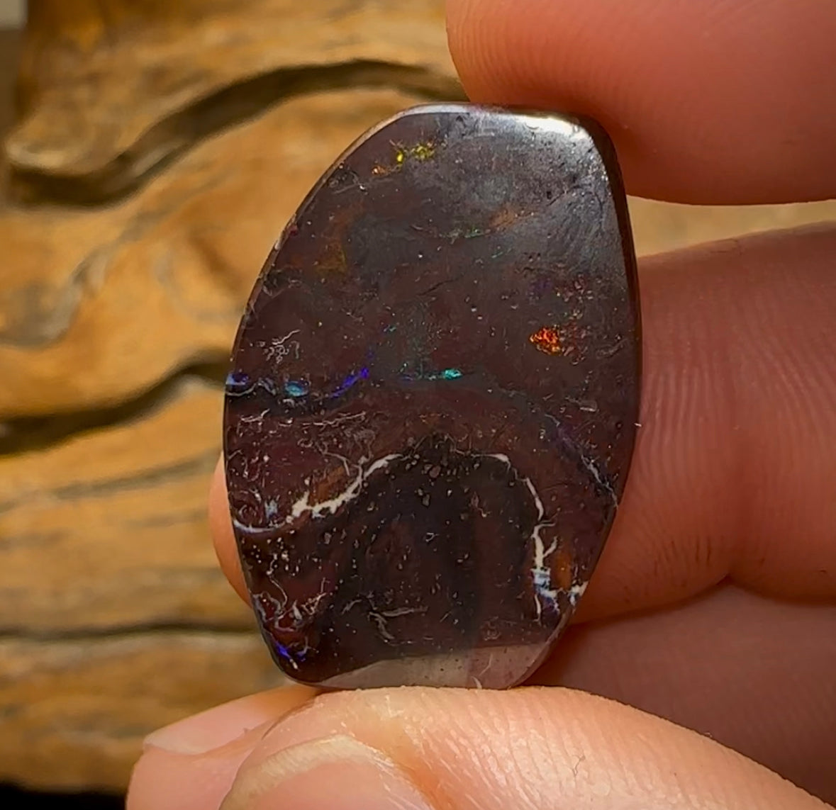 26.1cts - Queensland Boulder Opal - Opal Whisperers