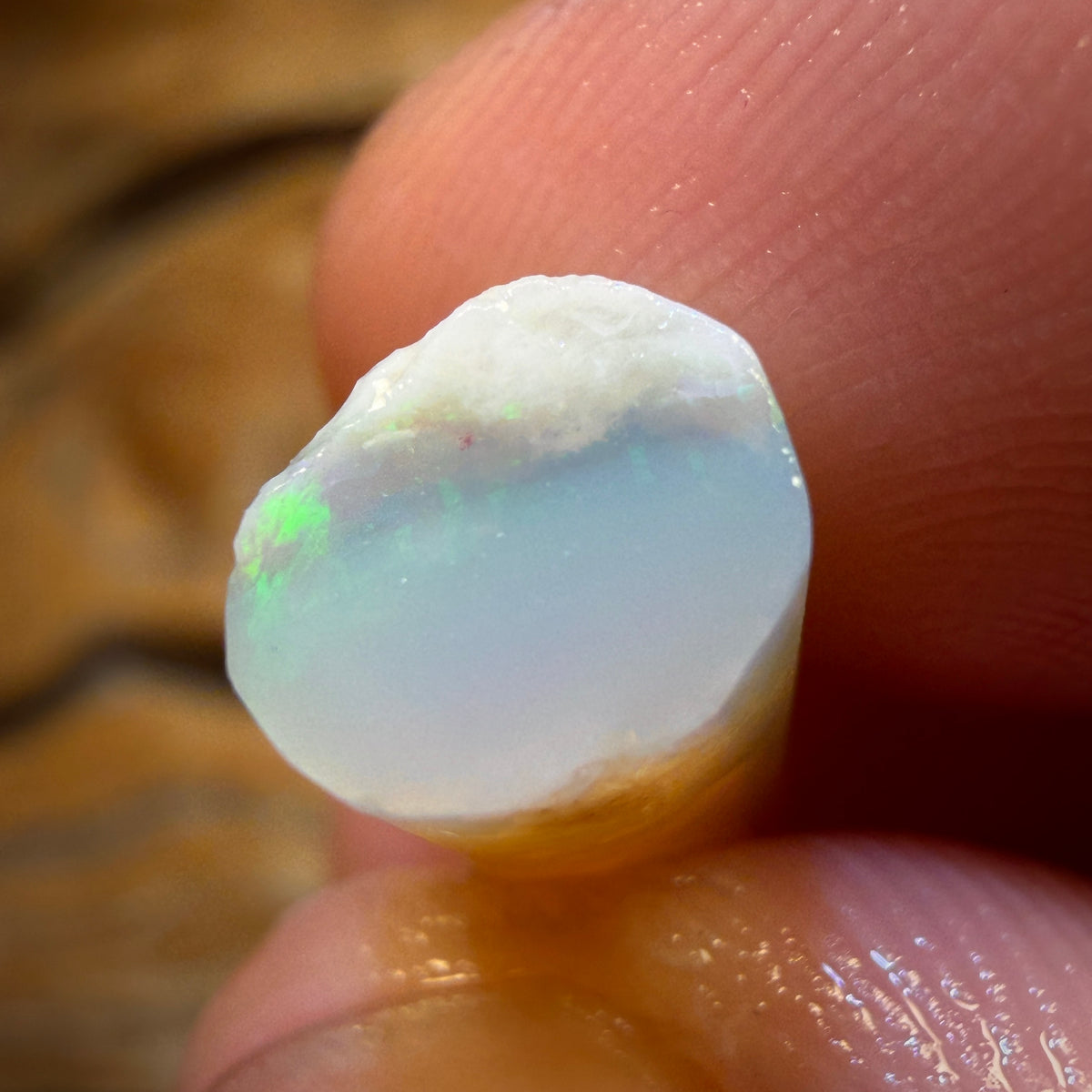 10.1cts - Opalised Belemnite Geological Specimen from South Australia