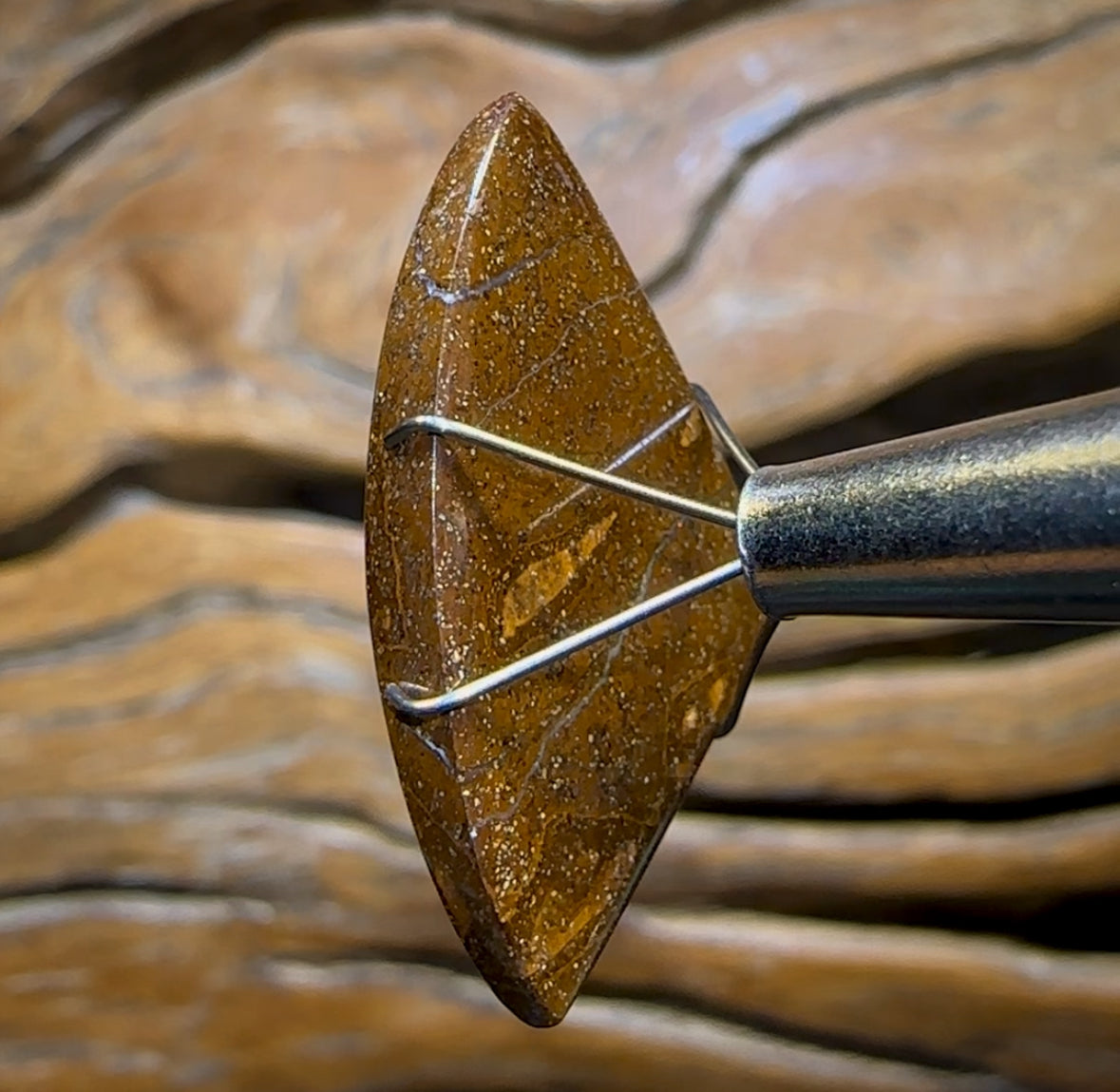 🔨 AUCTION 🔨 No Reserve 17.5cts - Yowah Nut Kernel Opal