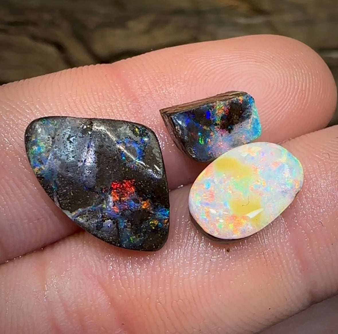 14.9cts - parcel of 3 x Boulder opal rough rub preforms