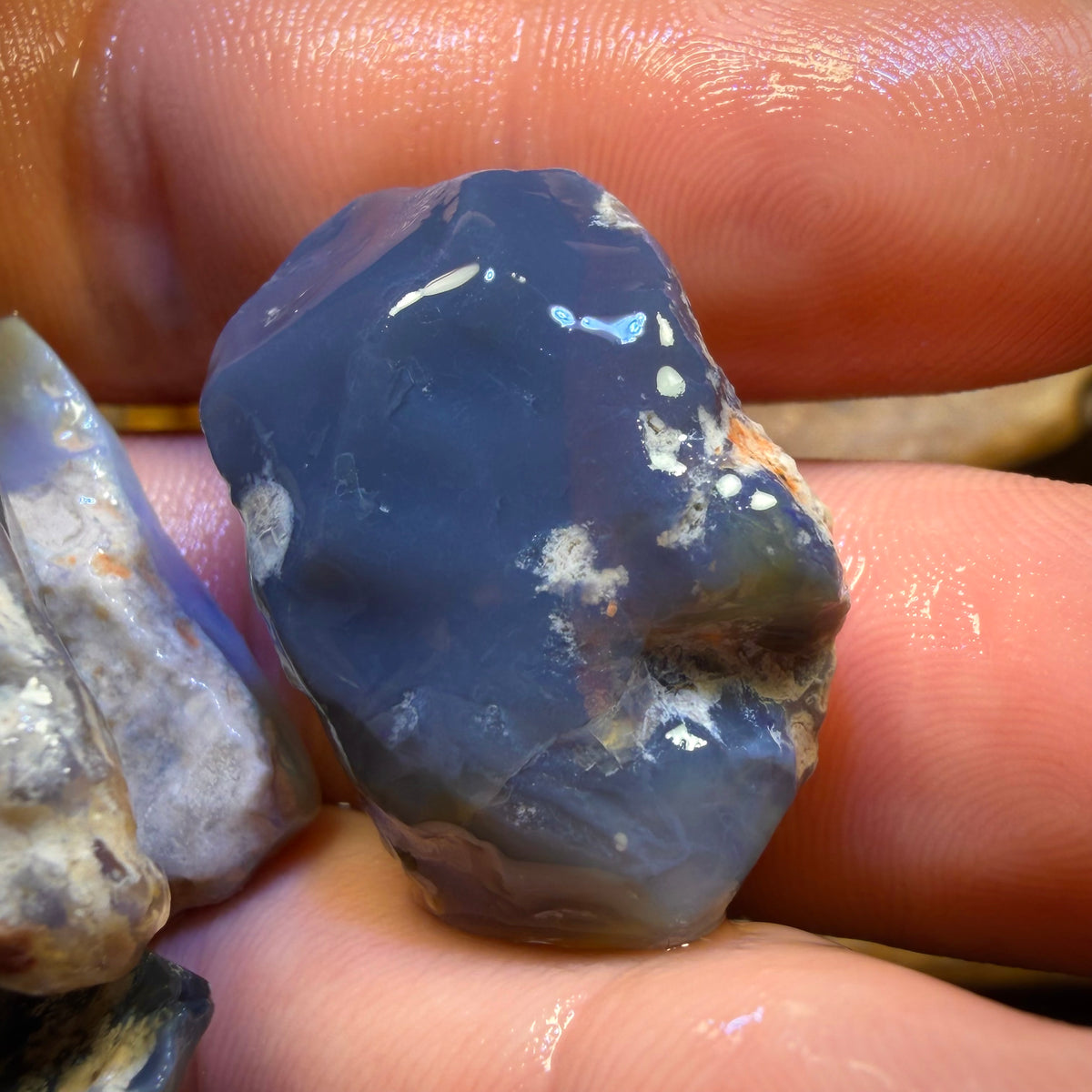 186.6cts - 5x Lightning Ridge Opal Rough Parcel