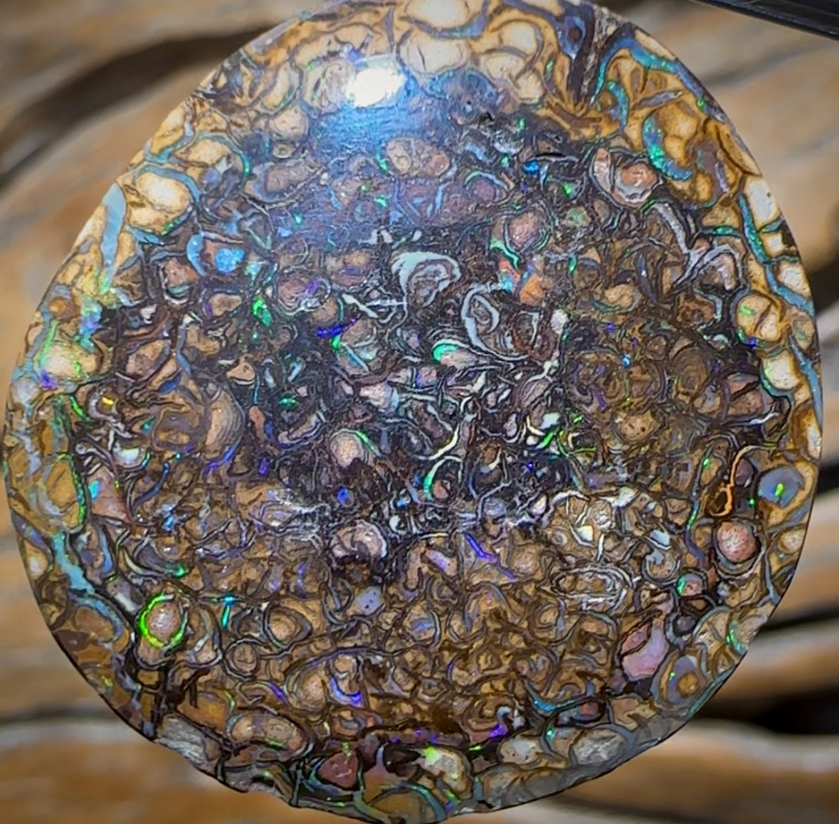 Solid Unisex Tribal Queensland Boulder Opal Pendant