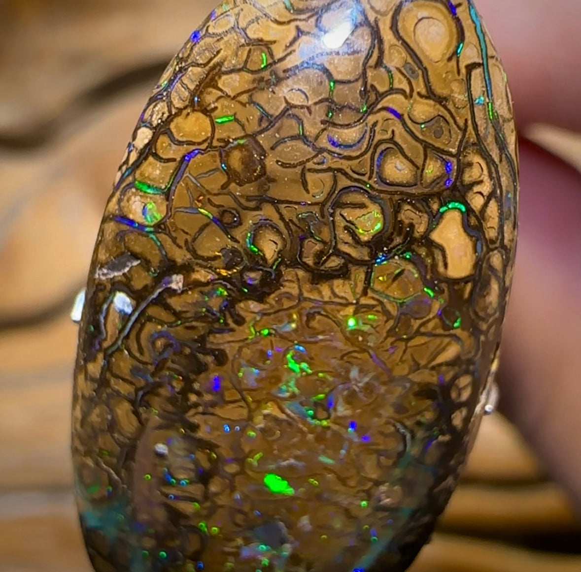 25.7cts - Electric Tan Tribal Australian Boulder Opal. Yowah Tribal - Opal Whisperers