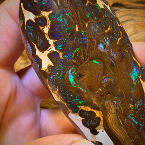 620.5cts - Massive Queensland Boulder Opal Polished Specimen. Bubble Band