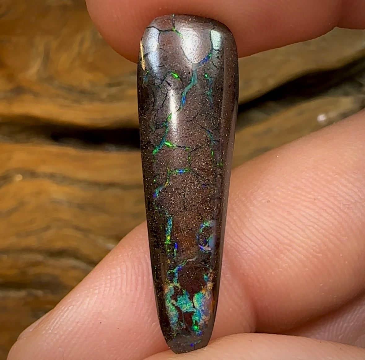 15cts - Tribal Pattern Koroit Nut Opal - Opal Whisperers