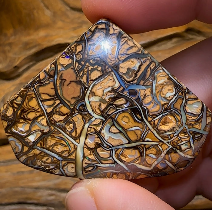 113.1cts - Top Tribal Magic Koroit Nut Australian Opal. - Opal Whisperers