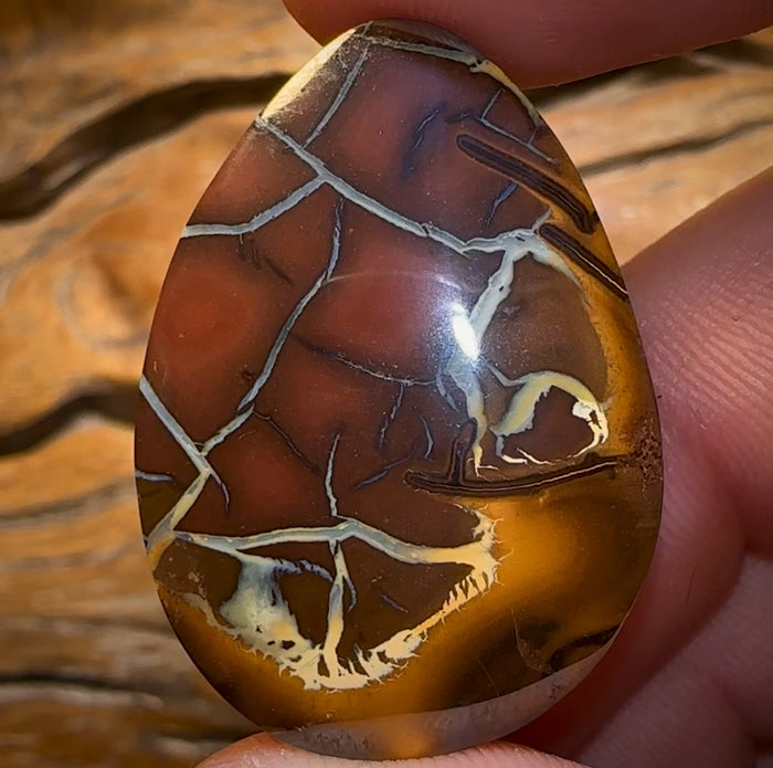 Auction Fall-Through = Your Gain! - Now More Than 50% Off RRP - 77.9cts - Queensland Boulder Opal