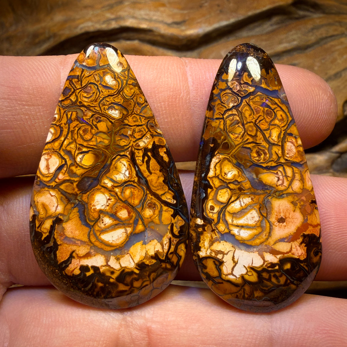 75.6cts - Tribal Queensland Boulder Opal Pair