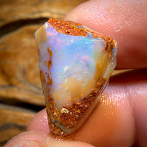 27.7cts - Boulder Pipe Opal Rough Piece. Australian Opal