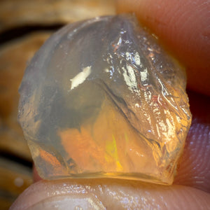 🔨 AUCTION 🔨 18.8cts - Opalised Shell Geological Specimen from South Australia. Pure Water Crystal