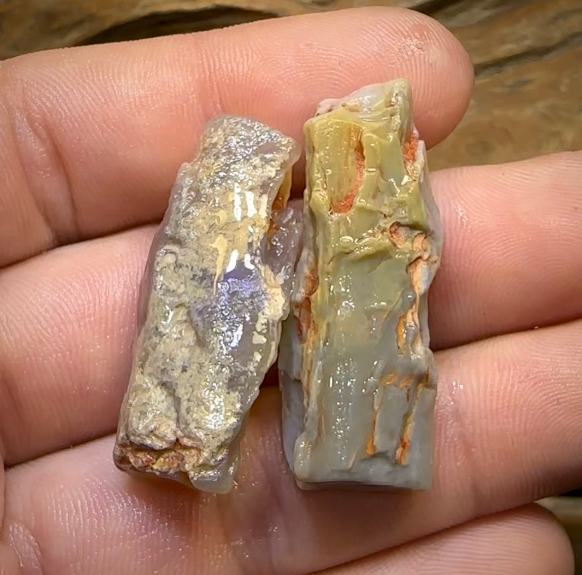 47.9cts - 2x Lightning Ridge Crystal and Dark Opal Fossil Rough Pieces - Opal Whisperers
