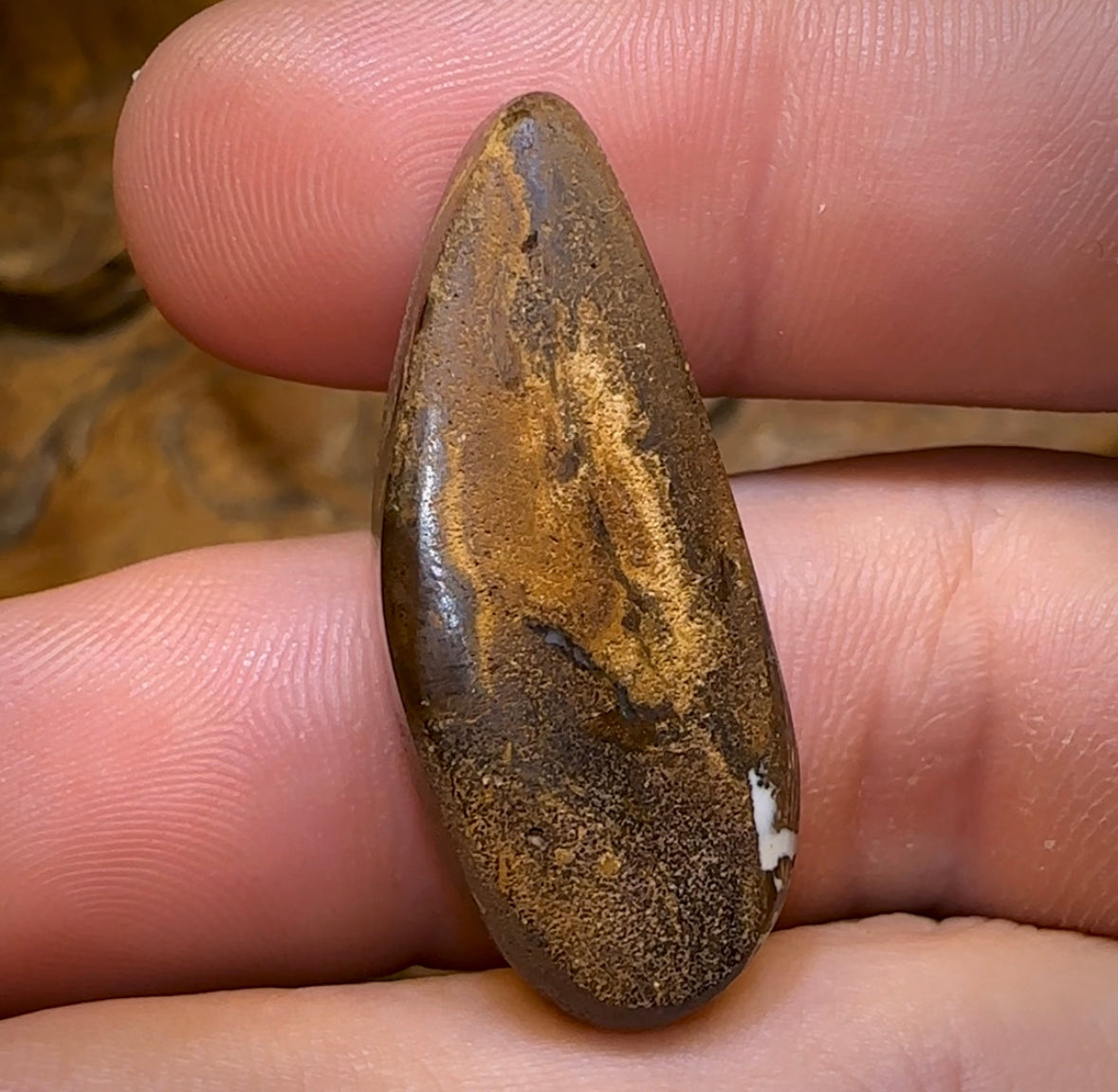 32.5cts - Magnificent Wood Fossil Opal from Yowah - Opal Whisperers