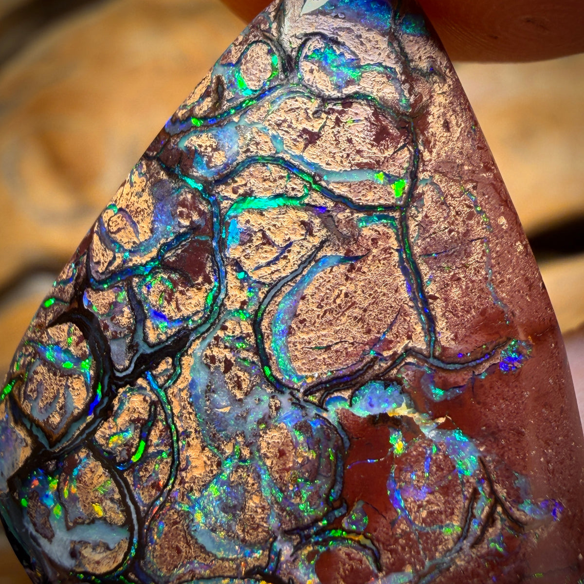 Banger Card! 55.9cts - TOP Tribal Australian Boulder Opal from Yowah