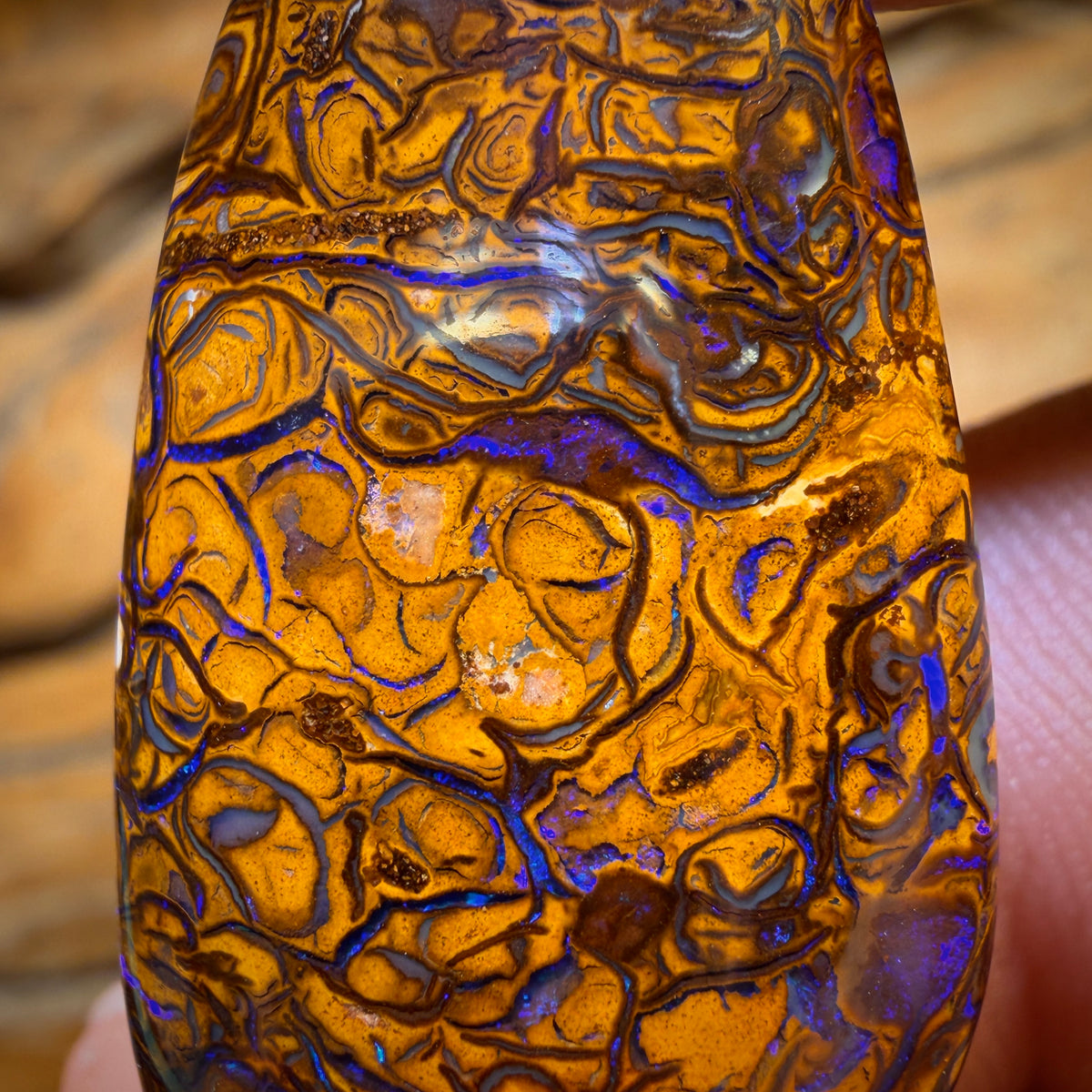 31.8cts - Tribal Queensland Boulder Opal from Yowah