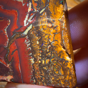 🔨 AUCTION 🔨 257.2cts - Tribal Yowah Nut Picture Stone Opal Rough Piece