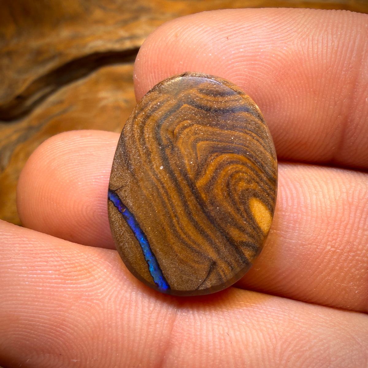 27.2cts - Australian Boulder Seam Opal. Top Reef Pattern