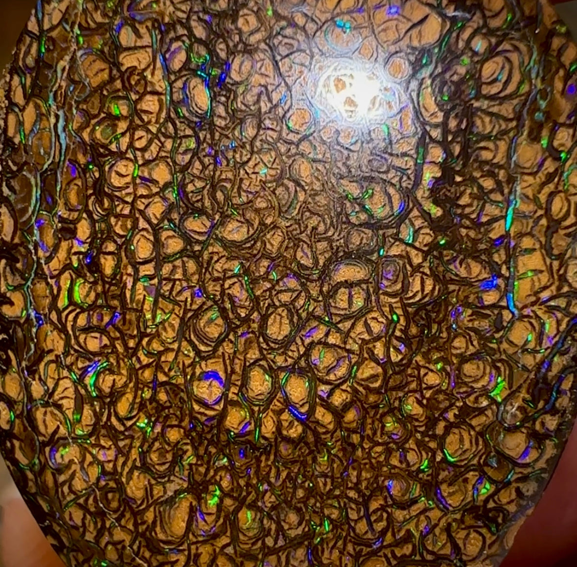 32.3cts - Yowah Nut Tribal Opal - Opal Whisperers